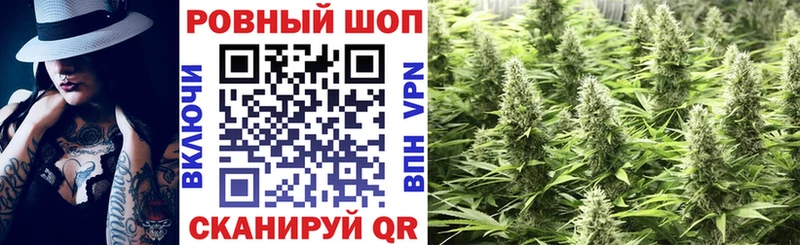 Виды наркоты Светлый KRAKEN tor  Меф мяу мяу  ГАШИШ  Кокаин  Alpha PVP 