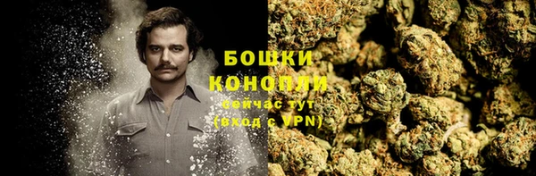 ПСИЛОЦИБИНОВЫЕ ГРИБЫ Белокуриха