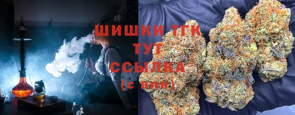 ПСИЛОЦИБИНОВЫЕ ГРИБЫ Белокуриха