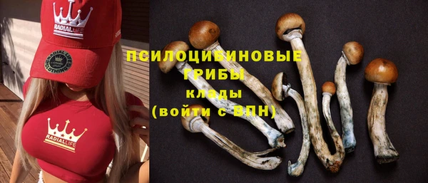ПСИЛОЦИБИНОВЫЕ ГРИБЫ Белокуриха