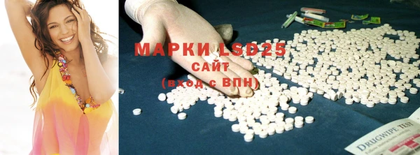 ПСИЛОЦИБИНОВЫЕ ГРИБЫ Белокуриха