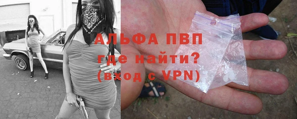 ПСИЛОЦИБИНОВЫЕ ГРИБЫ Белокуриха