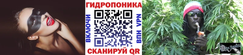 Шишки марихуана MAZAR  Светлый 